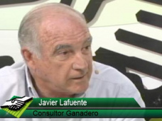 TV: ¿Cuánto va a valer la invernada en los remates post-destete?; con Javier Lafuente