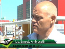 TV: ¿Qué se necesita para mejorar la rentabilidad del campo?; con Ernesto Ambrosetti