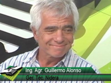 TV: ¿Cual fue el manejo agronómico que mejor funcionó en esta campaña de soja y maíz?; con Ing. G. Alonso