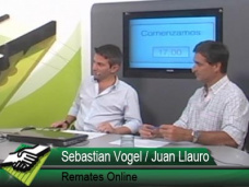 TV: ¿Cada mes se va erosionando más el precio de venta de los Terneros?; con S. Vogel y J. LLauró