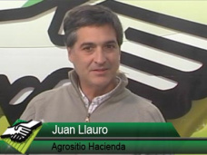 TV: ¿Cómo amortiguar en el campo el bajón en el precio de los Terneros?; con J. Llauró