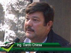 TV: “Va a ser otra vez un año donde el productor de cría va a ser el castigado”; con D. Chiesa