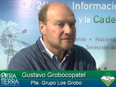 TV: ¿Cómo sobrevivir con aumento de costos, baja de precios y menor área por sembrar?, G. Grobocopatel