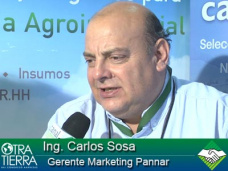 TV: ¿Qué le piden los productores a los criaderos de semillas esta campaña?; con C. Sosa - Pannar