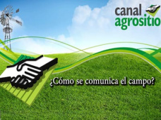 TV: ¿Cuales son las 3 ideas principales que el Campo le debe transmitir a la sociedad?