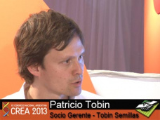 TV: Sorgo y girasol como competidores directos de maíz y soja. Pros y contras; con P. Tobin