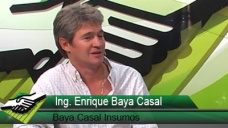 TV: ¿Cómo está el mercado y los precios de forrajeras y verdeos?; con E. Baya Casal