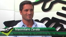 TV: ¿Cómo están la Soja y el Maíz en el campo?; con M. Zavala Bolsa de Cereales