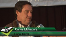TV: ¿Qué pasa esta campaña entre comercialización y exportación?; con Carlos Etchepare