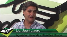 TV: ¿Qué está pasando con los precios por calidad y peso en Invernada?; con Juan Llauró