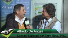 TV: ¿Cómo hace un productor como Alfredo De Angeli para convivir con la oposición K en el Senado?