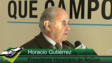 TV: AnGus presenta los beneficios de su raza y sus expectativas para la Expo Rural; con H. Gutiérrez