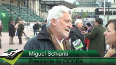 TV: “La Cuota 481 no estimula al sector y el chip bovino es una iniciativa absurda”; con M. Schiaritti