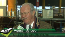 TV: Luego del record 2013, ¿Qué promedios de ventas se llevó La Braford en Palermo 2014?; con Agustín Arroyo