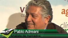 TV: ¿Qué puede pasar con la Soja de la campaña 2014/15?; con P. Adreani 