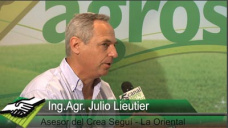 TV: ¿Cómo encaran esta Campaña agrícola los asesores CREA?; con Ing. Julio Lieutier