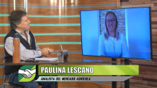 Petroleo, gente en las calles, más consumo y acomodamiento de los Granos; con Paulina Lescano
