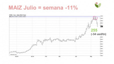 Maíz: a toda velocidad ya casi va finalizando la siembra en USA.. impresionante!, con Paulina Lescano - Clínica de Granos