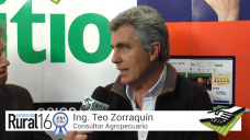 TV: ¿Cómo esta el ránking de márgenes / cultivo y el estilo emocional para sembrar?; con Teo Zorraquín