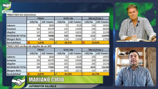 ¿Por qué no cierran los números del Trigo?, ¿es por el precio de los fertilizantes?; con M. Cirio - Lartirigoyen