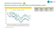 Maíz: demanda de etanol impulsa precios en Chicago, mientras las lluvias complican la siembra en Argentina; con Clara Treachi - Clínica de Granos
