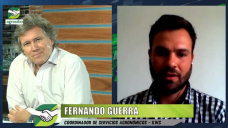 Celebreeding y la nueva genética en Maíz a campo online; con Fernando Guerra - KWS