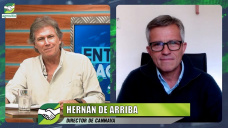 El ABC de la producción de Cannabis para cáñamo y aceite medicinal; con Hernán De Arriba - Dir. Cannava