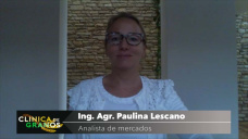 Al horno con fritas.. la soja en CHICAGO a punto de quebrar los 300 usd/tn, con Paulina Lescano - Clínica de Granos