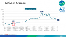 Maíz: el USDA aumentaría la producción 21/22 en EE.UU, con Lorena D´Angelo - Clínica de Granos