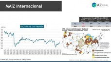 Maíz: El climático en EE.UU. ayuda a los precios locales, con Lorena D´Angelo - Clínica de Granos
