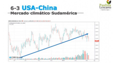 Maíz: la producción sigue con buenas expectativas.. y los precios van en contra; con Paulina Lescano - Clínica de Granos