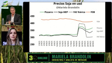 El Productor frente al mercado: cómo decidir cuándo vender Soja, Maíz y Trigo en un escenario incierto; con Mariela Brandolin - mercados