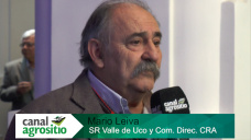 TV: Los viñateros hace 10 meses que esperan los pagos de las bodegas; con M. Leiva