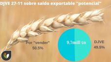 Trigo: arranca la lucha por los trigos de calidad en las zonas molineras, con Paulina Lescano - Clínica de Granos