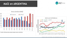 Maíz: Después de las lluvias, mejoran las perspectivas para sembrar, con Lorena D´Angelo - Clínica de Granos