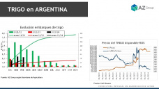 Trigo: Mucho cereal sin vender; con Lorena D´Angelo - Clínica de Granos