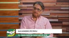 Las virtudes de la nuez pecán y la potencialidad de nuestro país para volverse un jugador fuerte; con A. Peyrou