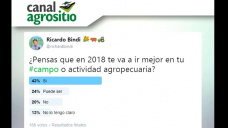 TV: ¿Somos más los optimistas o los pesimistas en el Campo?; por R. Bindi