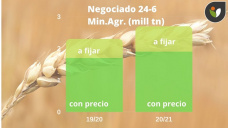 Trigo: ni el USDA lo ayudó y mientras avanza la cosecha en el hemisferio norte, con Paulina Lescano - Clínica de Granos