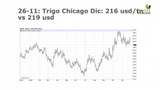 Trigo: mercado internacional perdiendo terreno, aunque con mucha volatilidad, con Paulina Lescano - Clínica de Granos