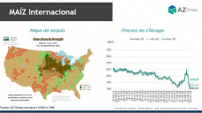 Maíz: ¿Estados Unidos tendrá una buena cosecha?, con Catalina Ferrari - Clínica de Granos 