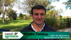 TV: Big Data y Algoritmos en la elección del mejor hibrido de maíz - con P.Talano, Dekalb