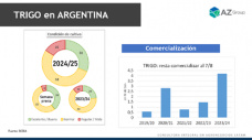 Trigo: sin mejoras del clima a la vista ¿puede subir el precio?; con Lorena D´Angelo - Clínica de Granos