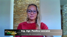 Soja: el mercado internacional se toma un respiro por unos días y logra una buena recuperación, con Paulina Lescano - Clínica de Granos