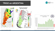 Trigo: lluvias y números 2023/24, con Lorena D´Angelo - Clínica de Granos