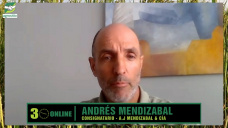 Menor oferta de invernada, más recría, mucha demanda de Vc de cría, y buenos precios: con A. Mendizábal - consignatario