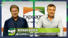 ¿Qué líneas de crédito para el campo presenta Banco Galicia en Expoagro?; con Hernán Busch - Gte. Agro