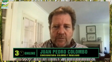 Invernada y Cría escasas, precios en alza, y mayor interés por campos; con Juan P. Colombo - consignatario