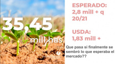 Soja: se viene un reporte muy importante del USDA, vamos a ver que sorpresa nos trae, con Paulina Lescano - Clínica de Granos