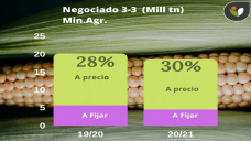 Maiz: se va ajustando el balance tanto en USA como en Argentina, con Paulina Lescano - Clínica de Granos
